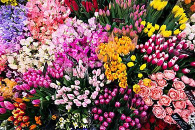 《黑枪神：悟空》正式版2月5日发售 无脑恶搞解压