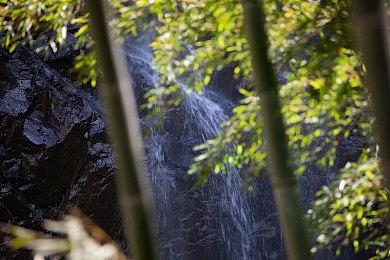 《后室公司》Steam抢先体验 多人合作惊悚冒险